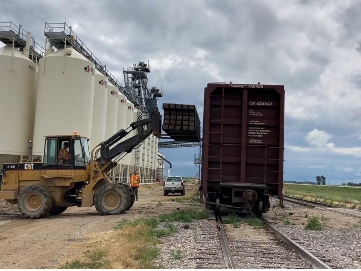 Loading Railway Ties